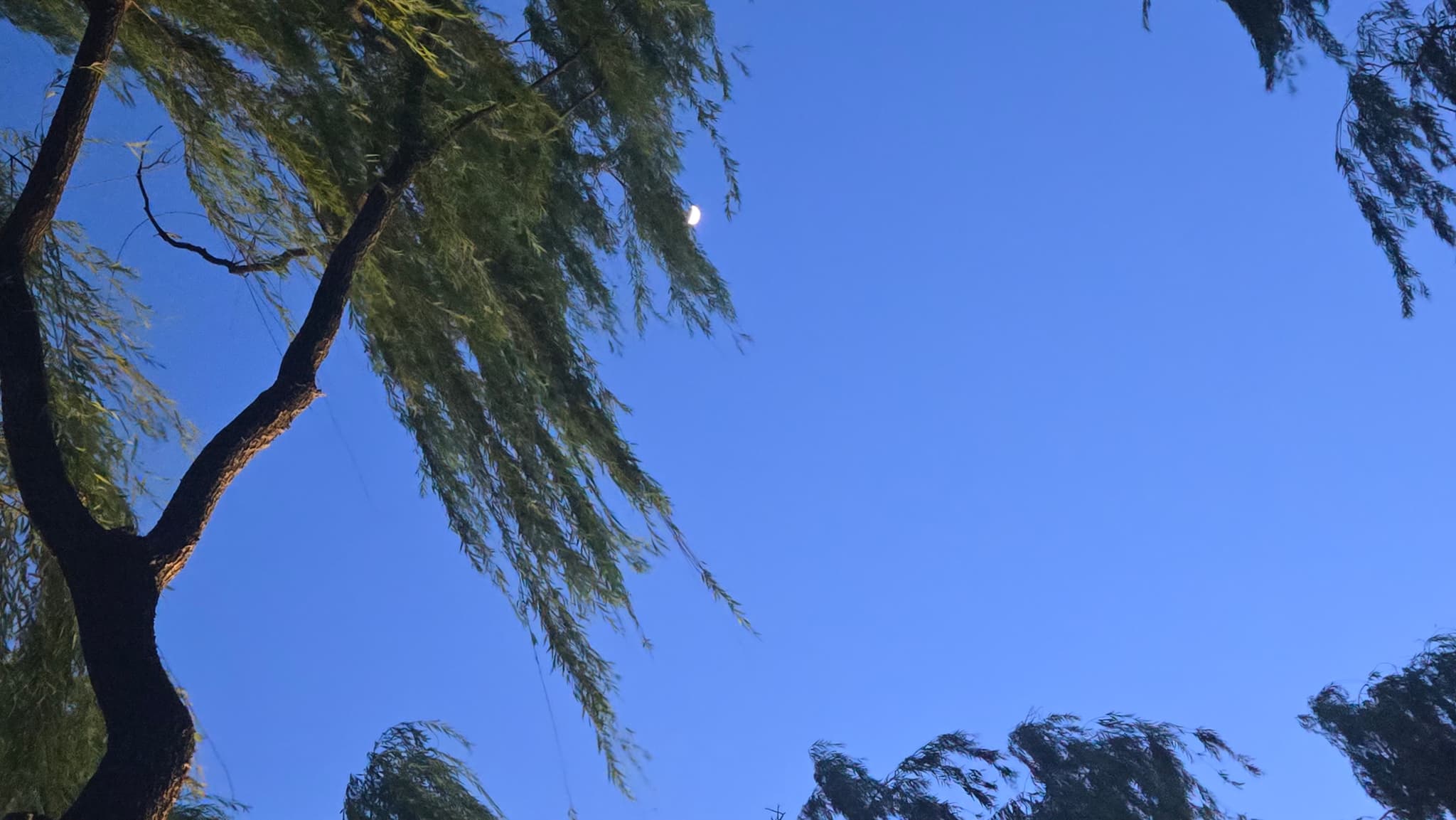金鸡湖