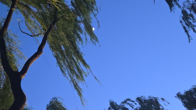 金鸡湖